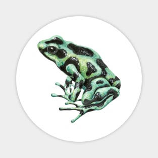 Dart frog Magnet